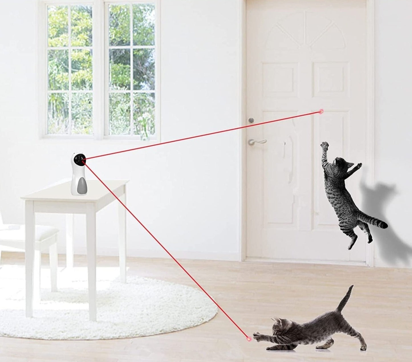 Pounce 'n' Play™ Cat Fitness Toy