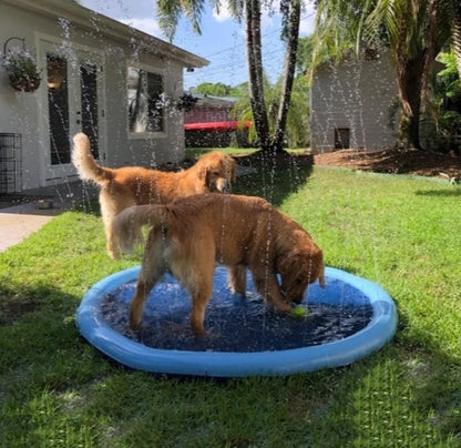 Splish 'n' Splash™ Portable Dog Pool